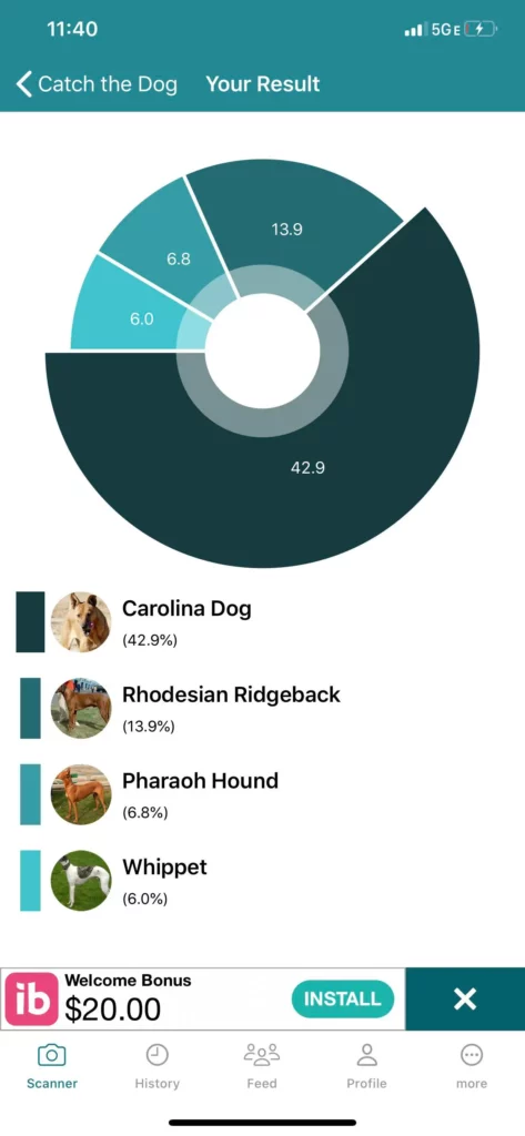 تشخیص نژاد سگ با dog scanner